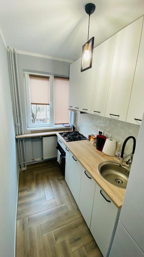 Dacia Apartment Temešvár Exteriér fotografie