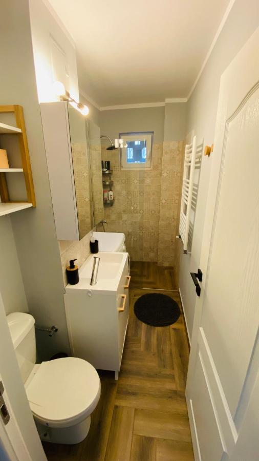 Dacia Apartment Temešvár Exteriér fotografie