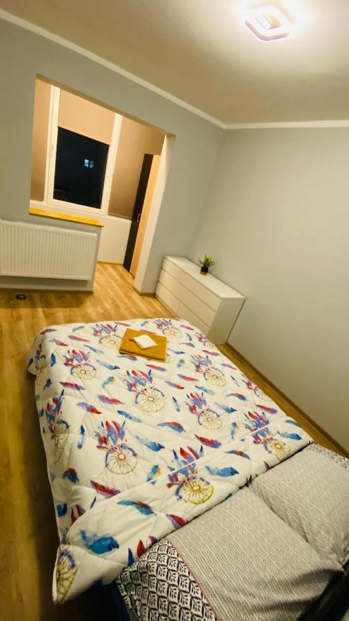 Dacia Apartment Temešvár Exteriér fotografie